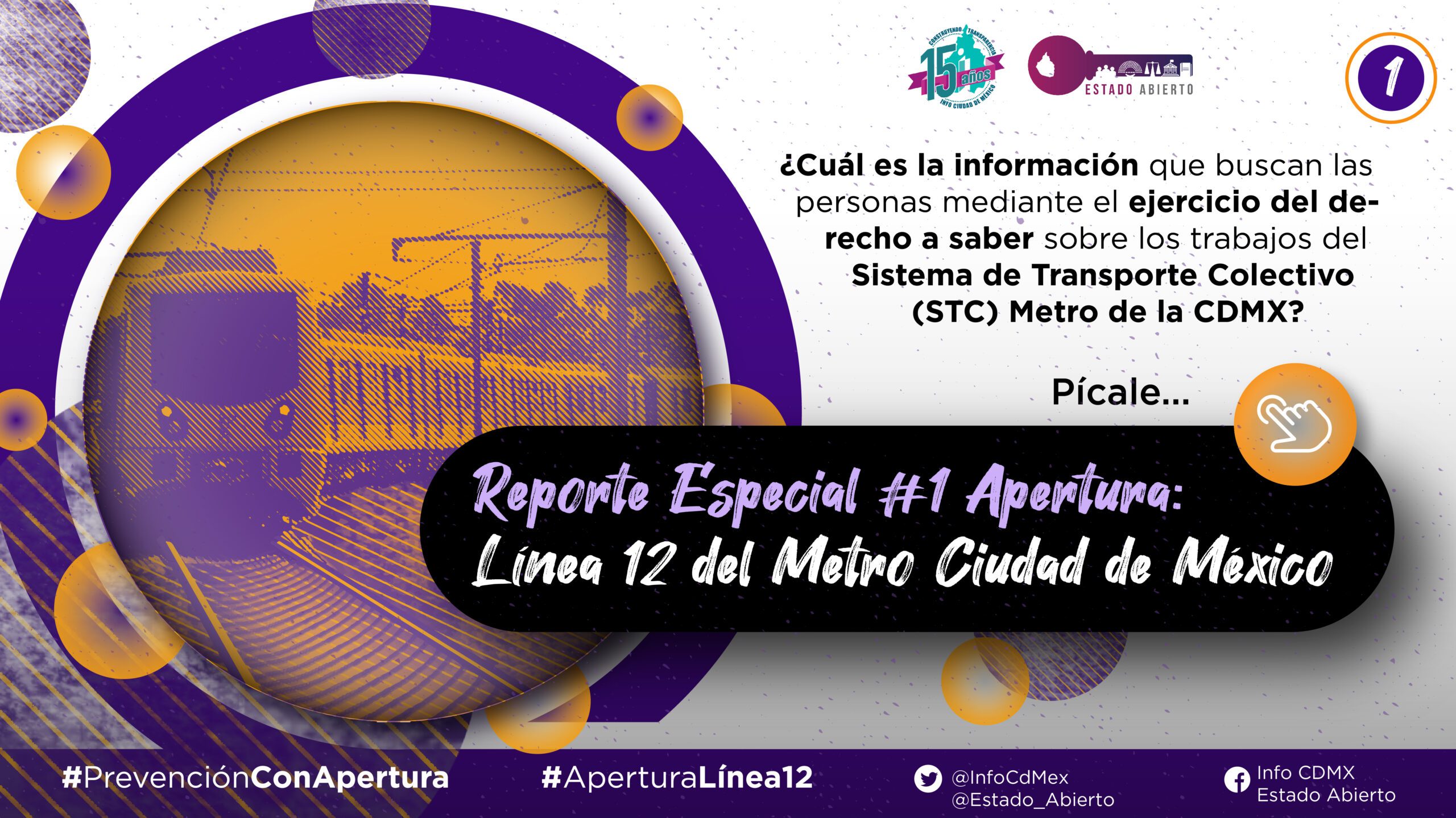 Reporte Especial #1 Apertura: Línea 12 del Metro de la Ciudad de México -  María del Carmen Nava Polina