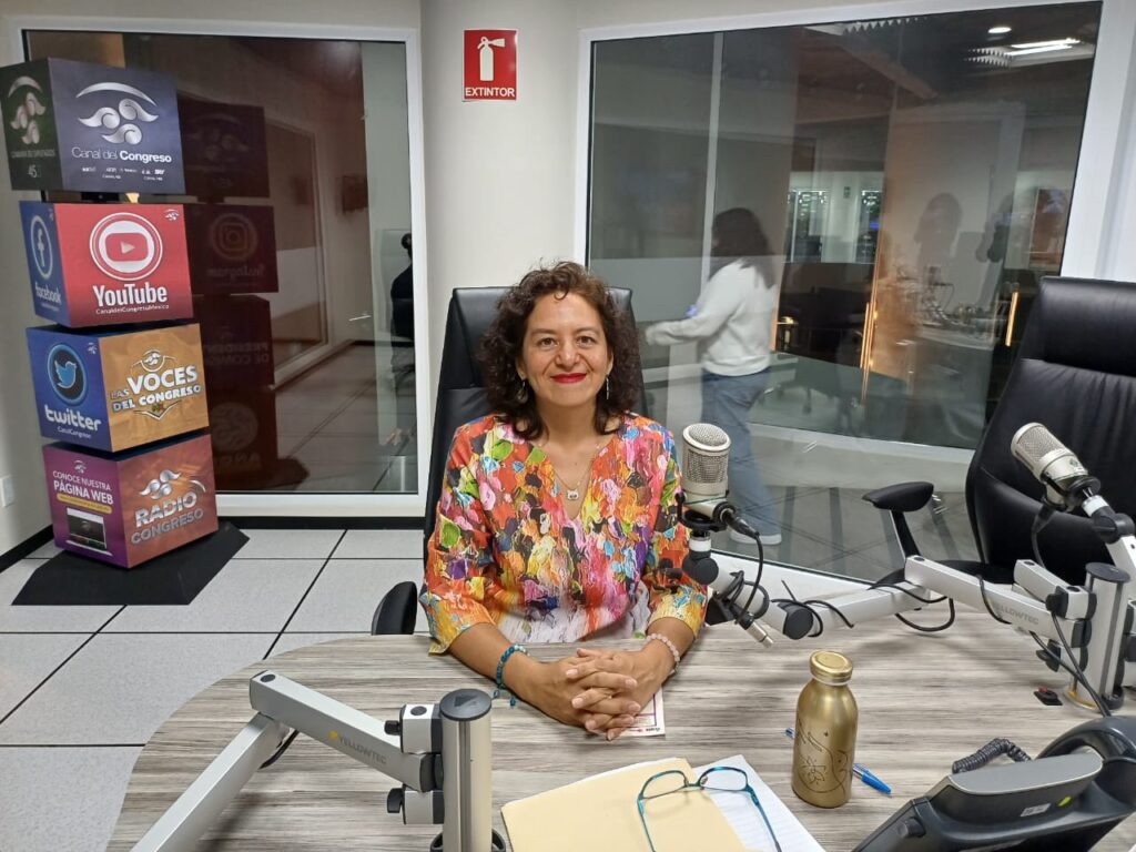 María del Carmen Nava Polina habla sobre el Parlamento Abierto en ...